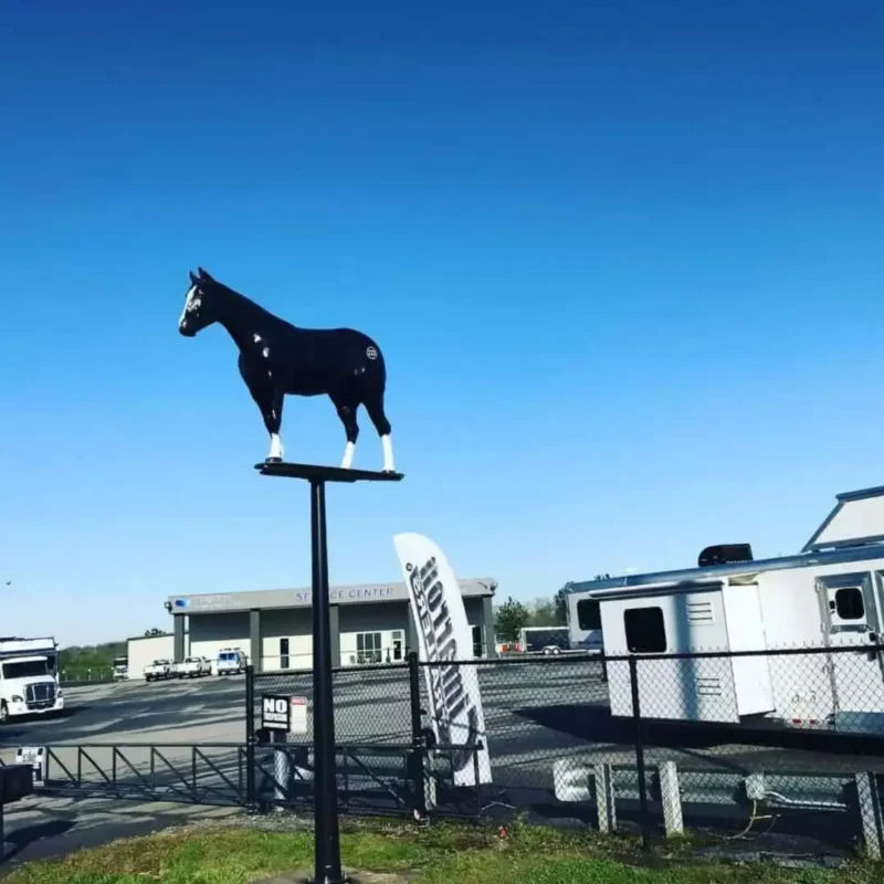 horse trailers for sale