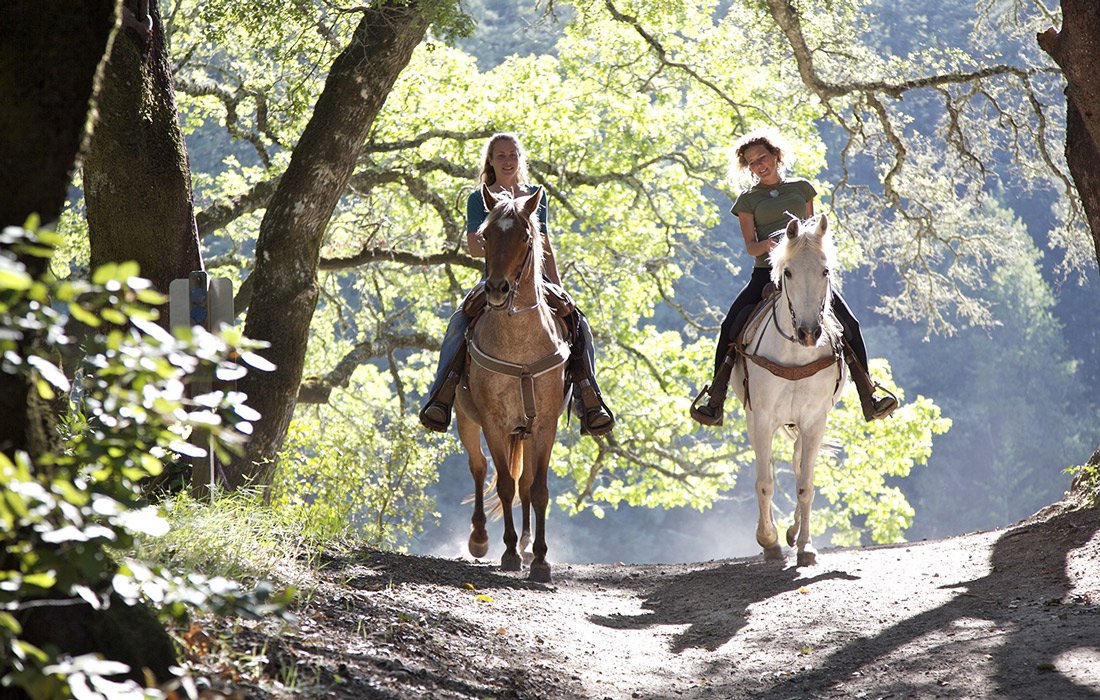 Horse Riding Trails Near Me