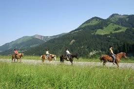 Horse Trail Rides