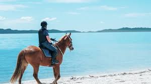 Horse Trail Riding Near Me