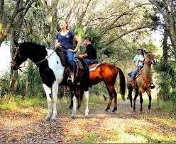 A&a Adventure Horse Trail Rides