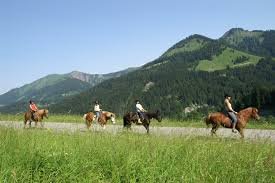 Horse Riding Trail