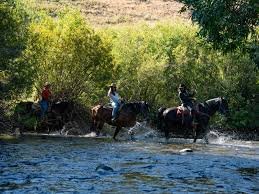 Horse Trail Ride