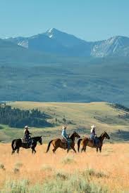 Horse Trail