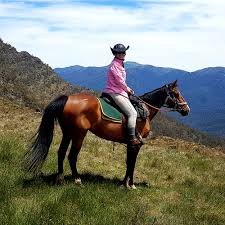 Horse Trails Western Australia