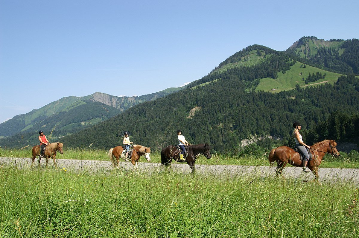 Trails For Horses